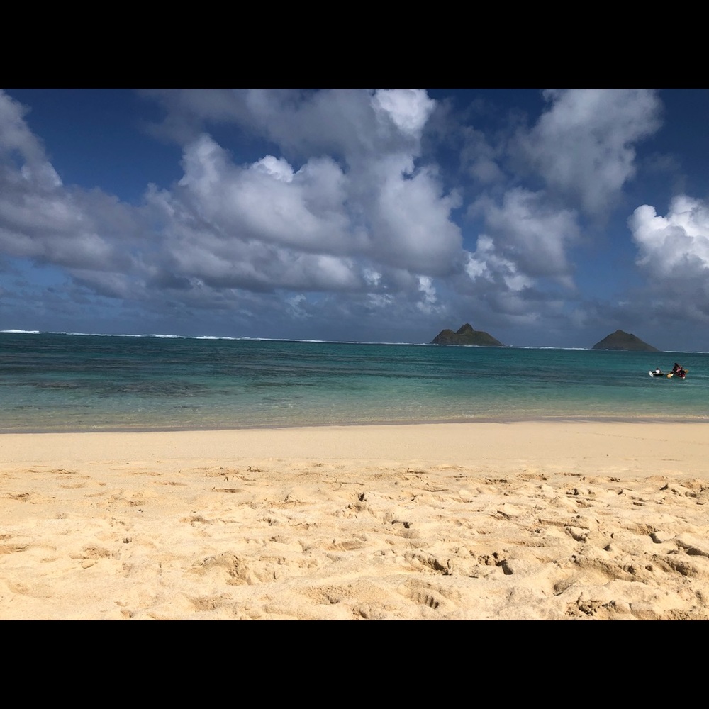 Meet your Posher, Bernadette